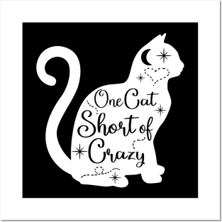 Cat Lover Crazy Cat Lady Funny Gift Idea Posters and Art